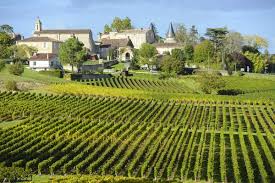Vignobles bordelais